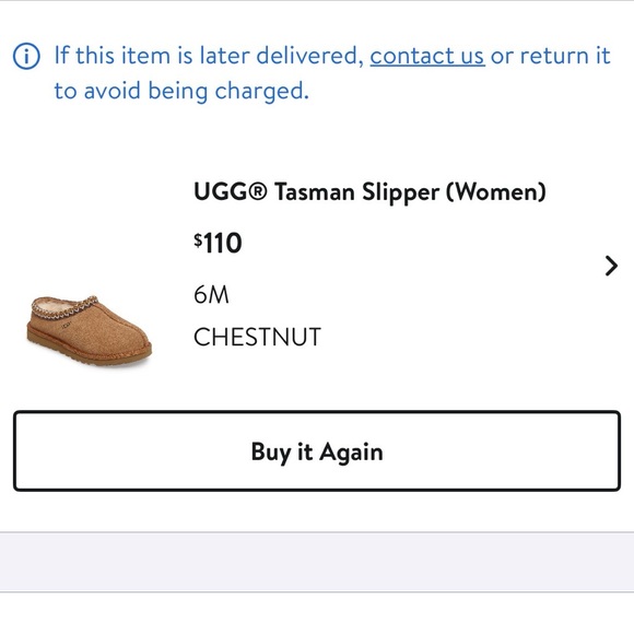 UGG Chestnut TASMAN (woman) - Picture 6 of 6